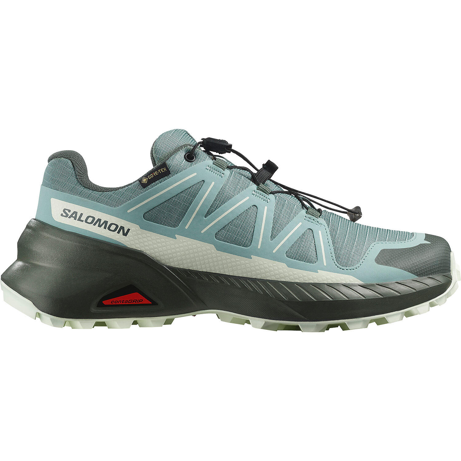SALOMON picture