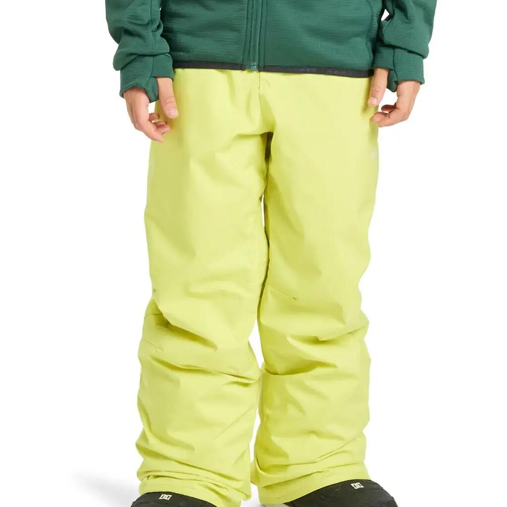 Quiksilver Estate Boys Ski Pants - Yellow Plum