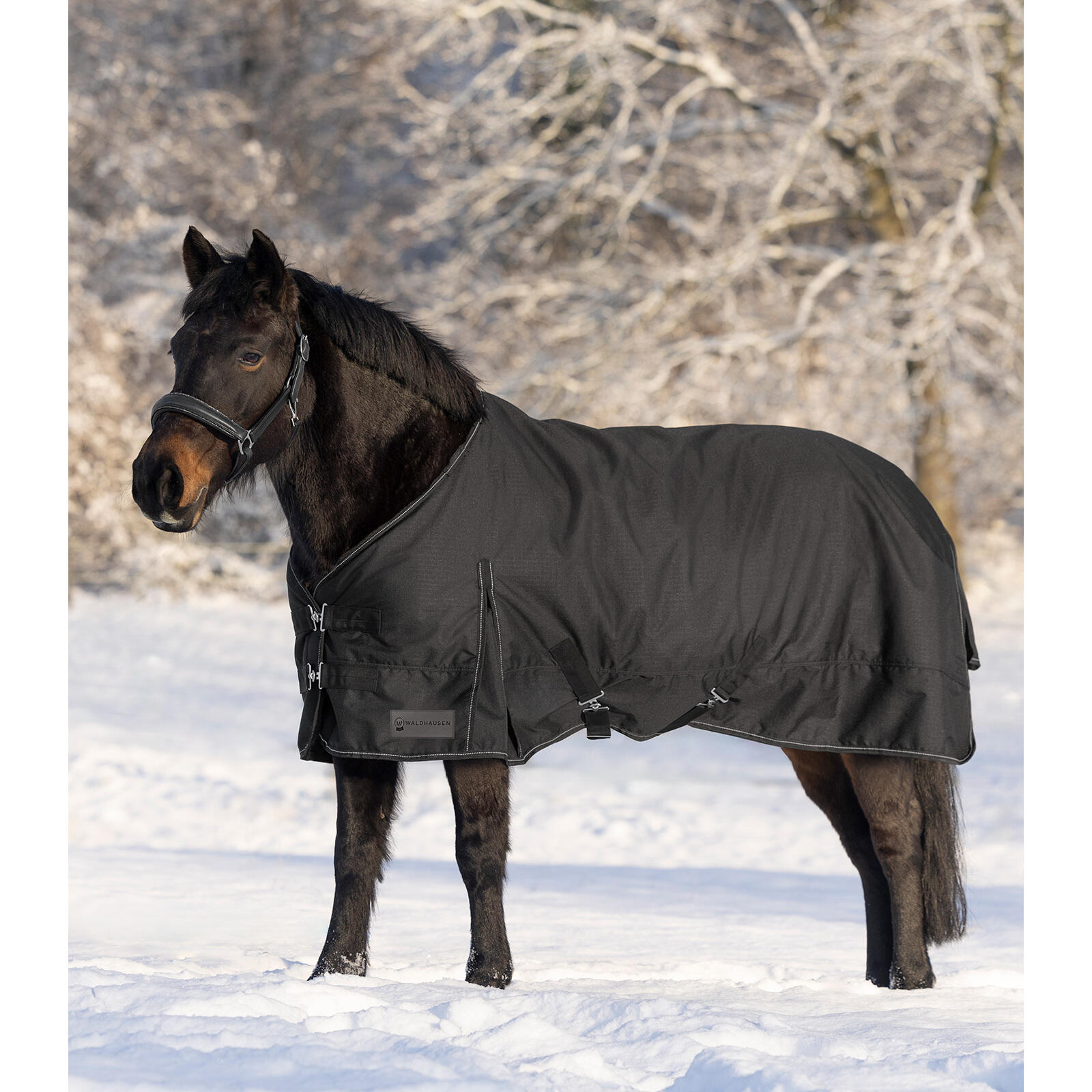 Polar para caballo Waldhausen Nordic 2/5