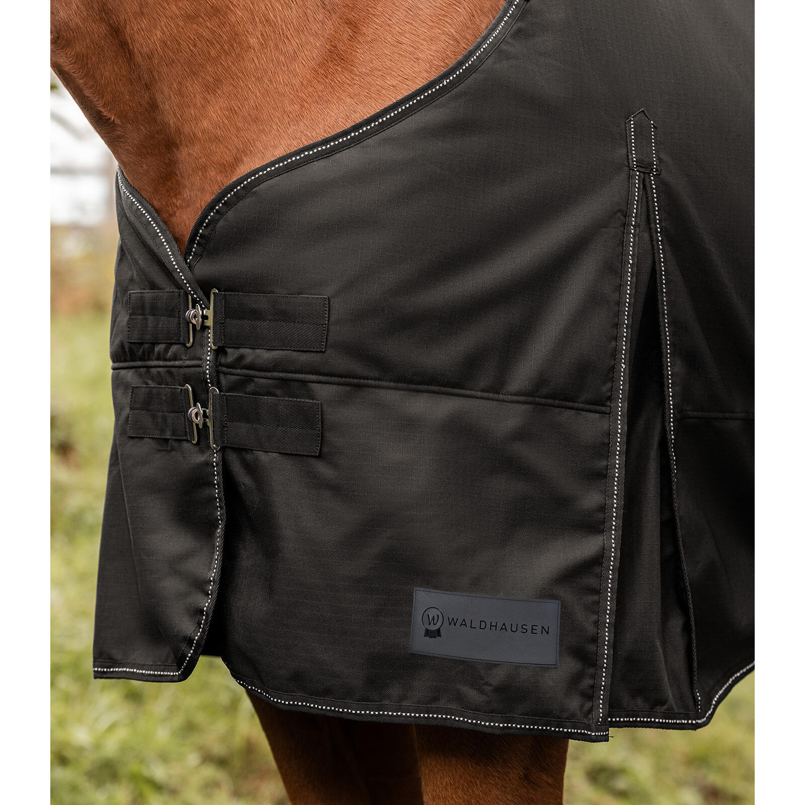 Polar para caballo Waldhausen Nordic 5/5
