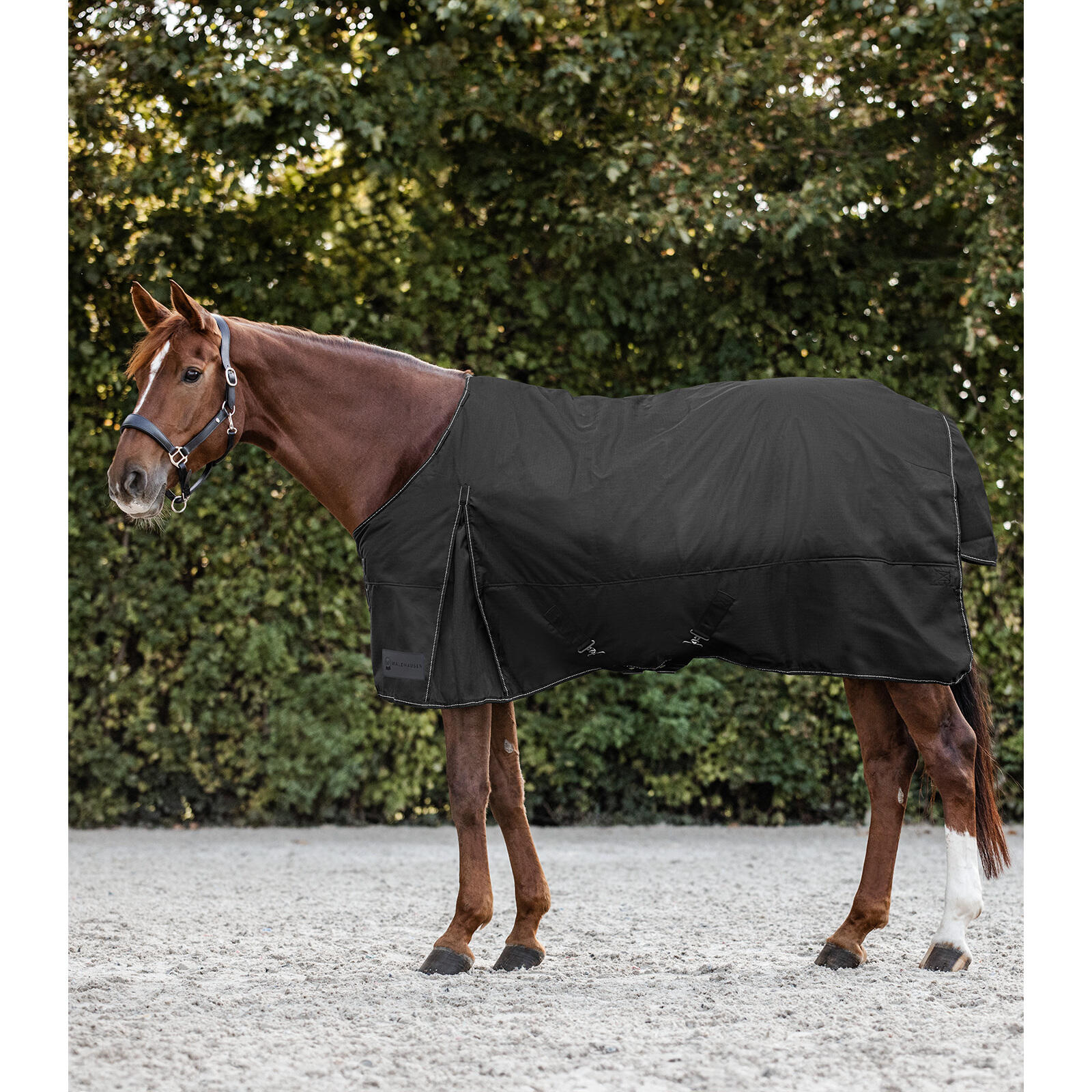 Waldhausen - Polaire Pour Cheval Waldhausen Nordic - Chemise Cheval - Noir - 155 Cm - Decathlon