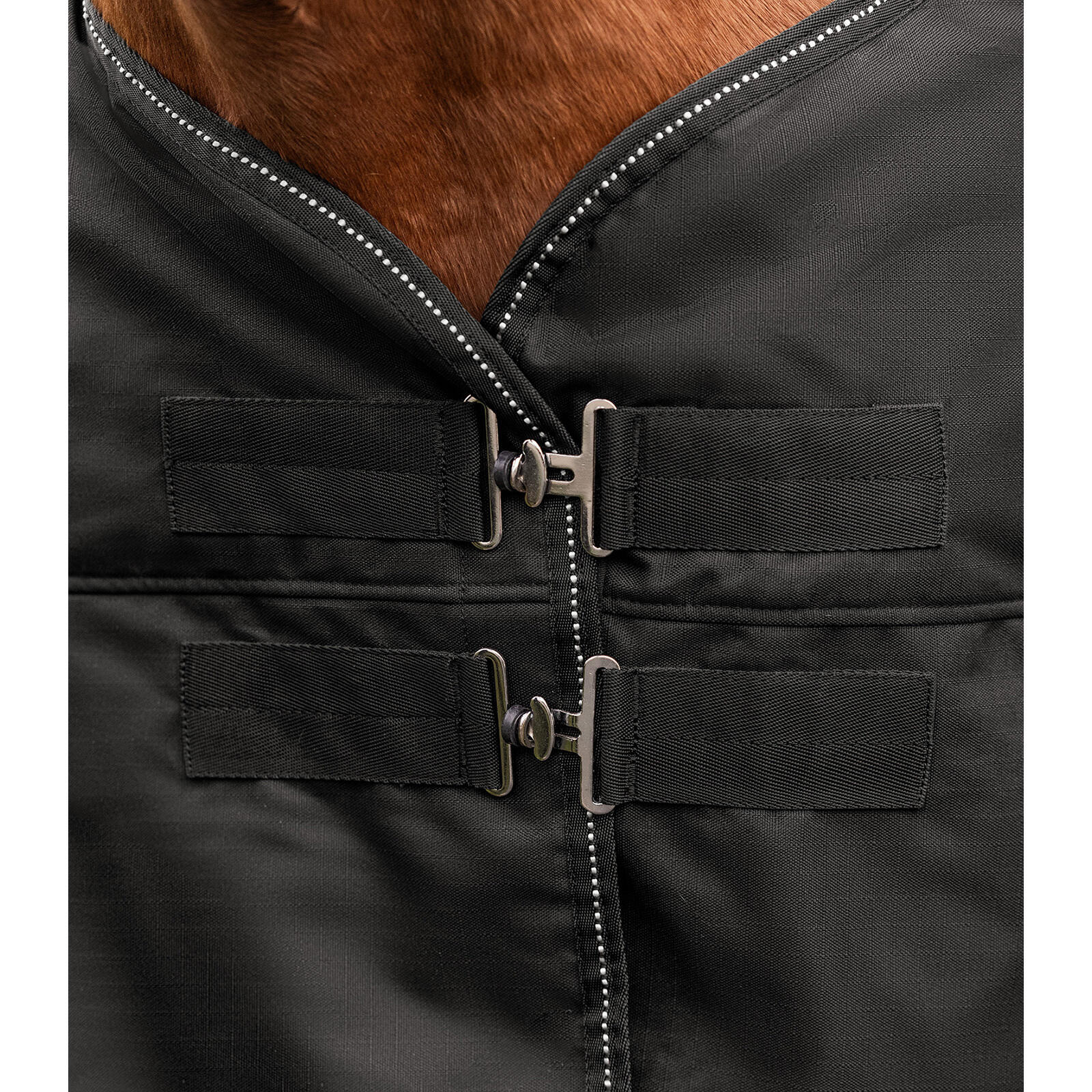 Polar para caballo Waldhausen Nordic 4/5