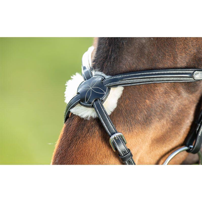 Bridas de equitación HFI Mexican 3/5