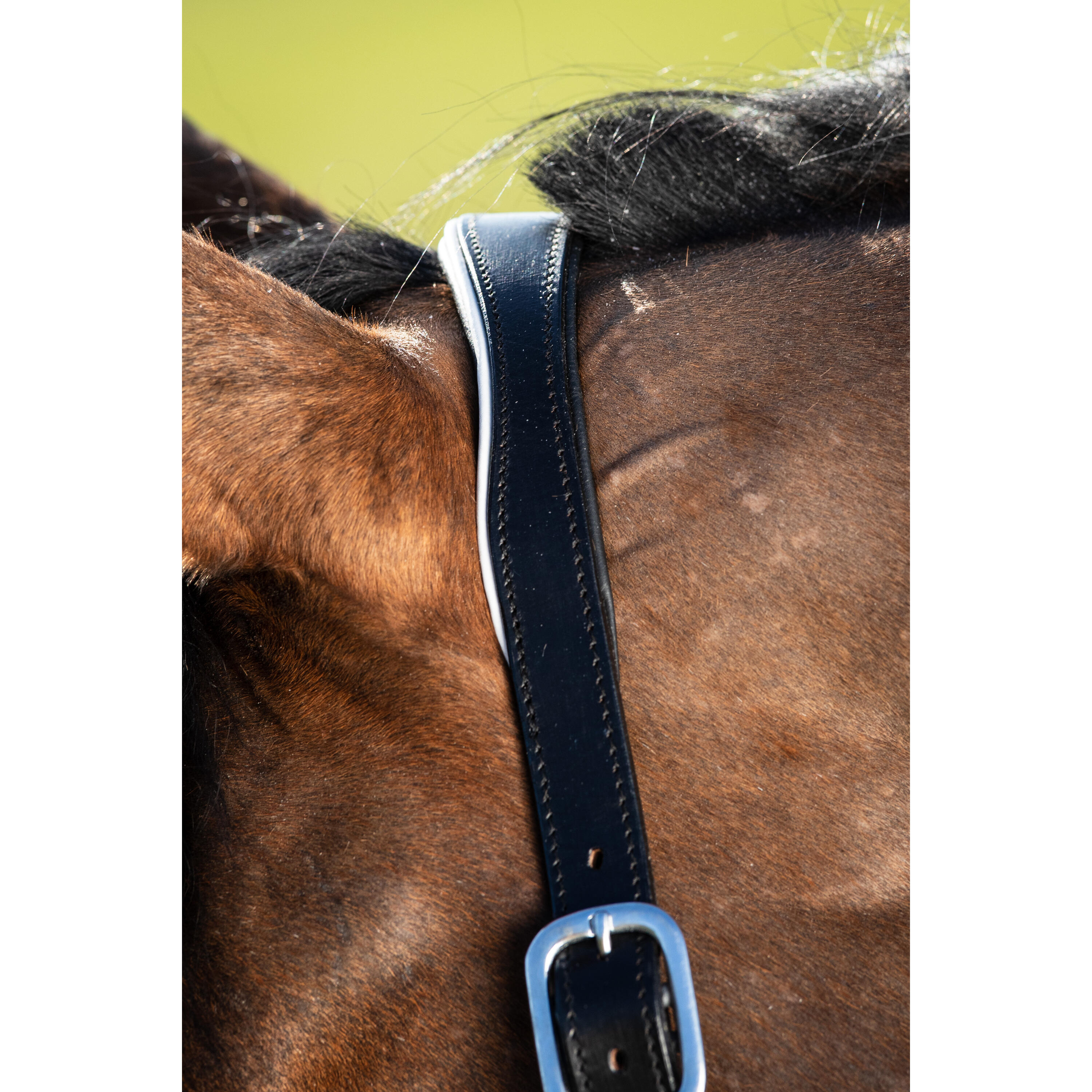 Cabezada de cuero para caballos HFI Two-Tone 2/2