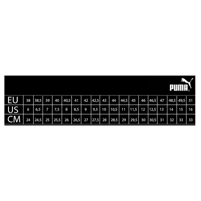 Încălțăminte Sport Bărbați Puma Axelion LS