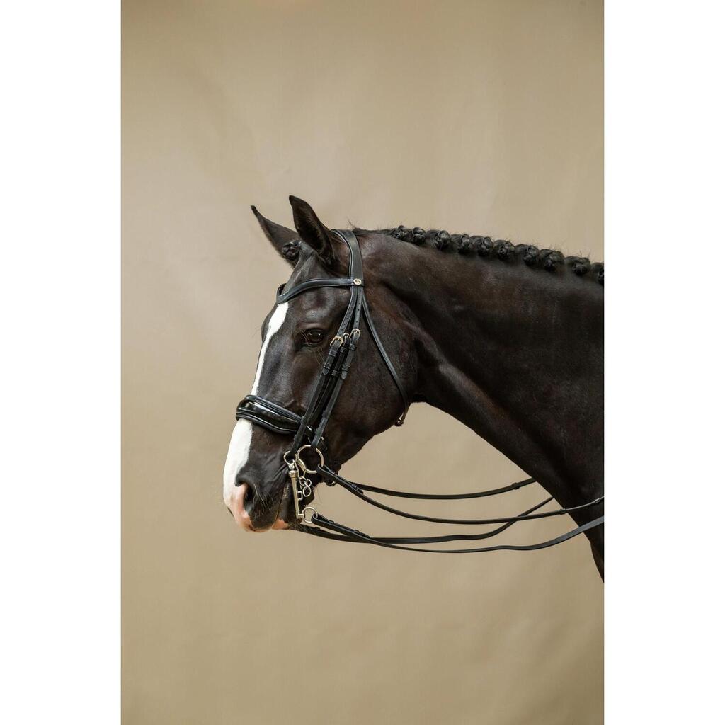 Varnished wide noseband bridle Dy'on