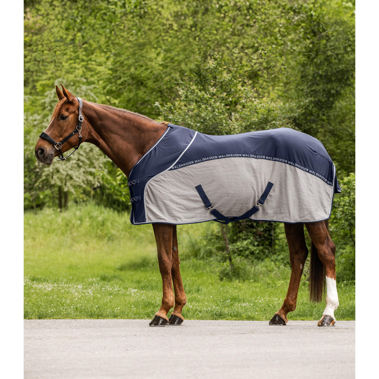 Waldhausen - Couverture Anti-mouches Pour Cheval D’été Waldhausen Cooler - Couverture Cheval - Bleu|gris - 125 Cm - Decathlon