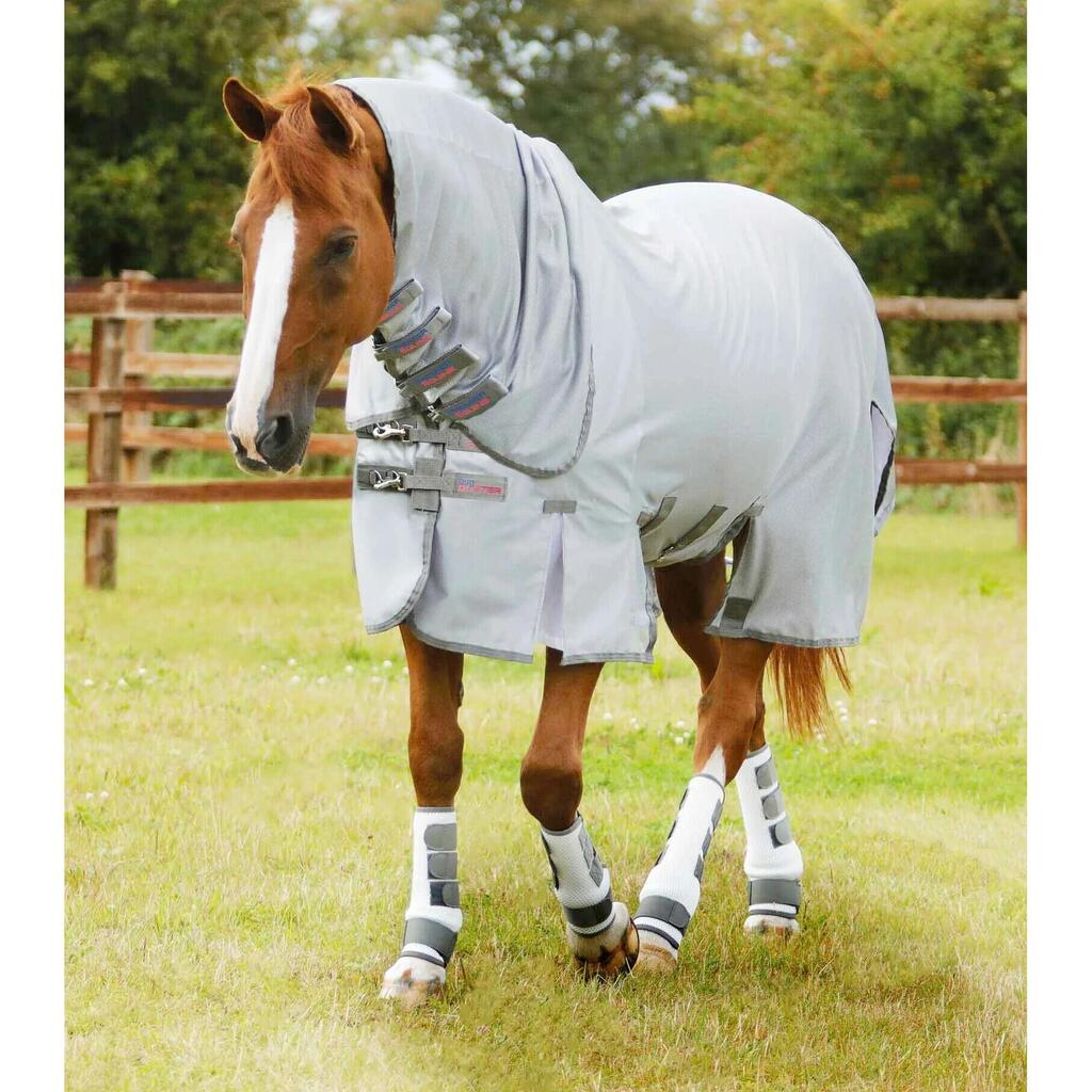 Fly sheet for pony with belly flap Premier Equine Bug Buster