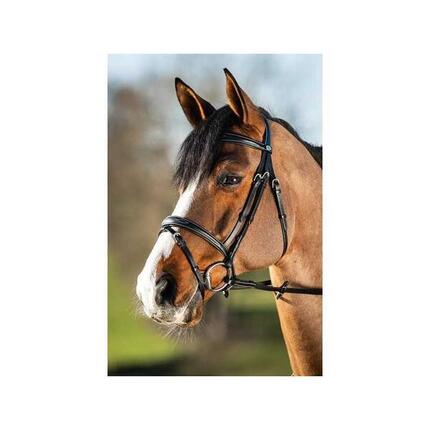 Bridons équitation HFI Elegant