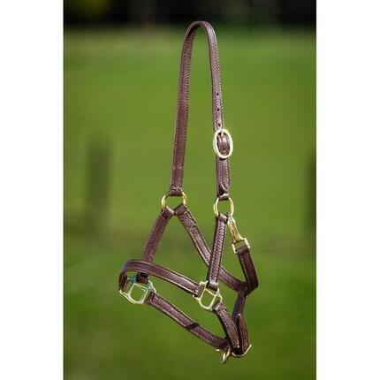 Licol en cuir souple pour cheval HFI