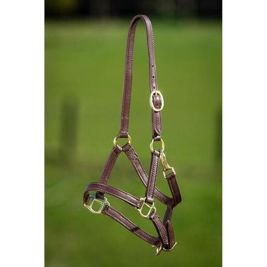 Licol en cuir souple pour cheval HFI