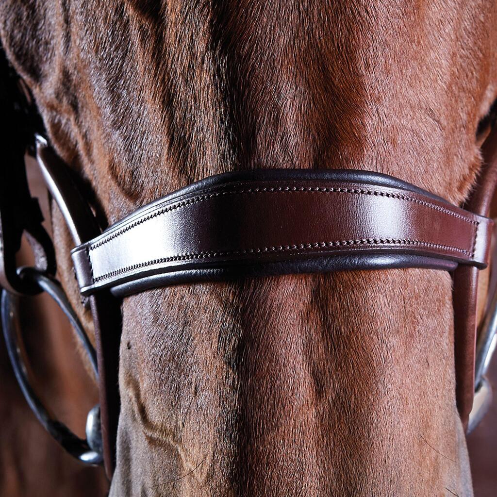 Crystal riding bridles Weatherbeeta Collegiate Comfitec
