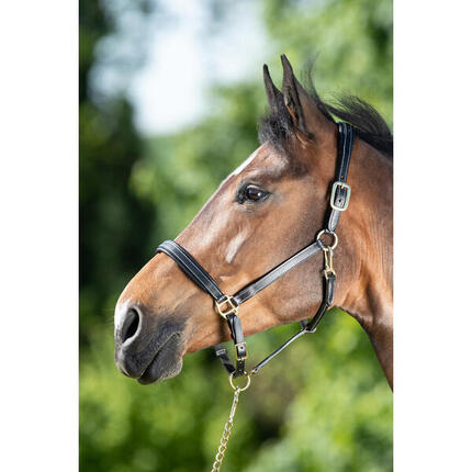 Licol cuir coutures creme pour cheval HFI