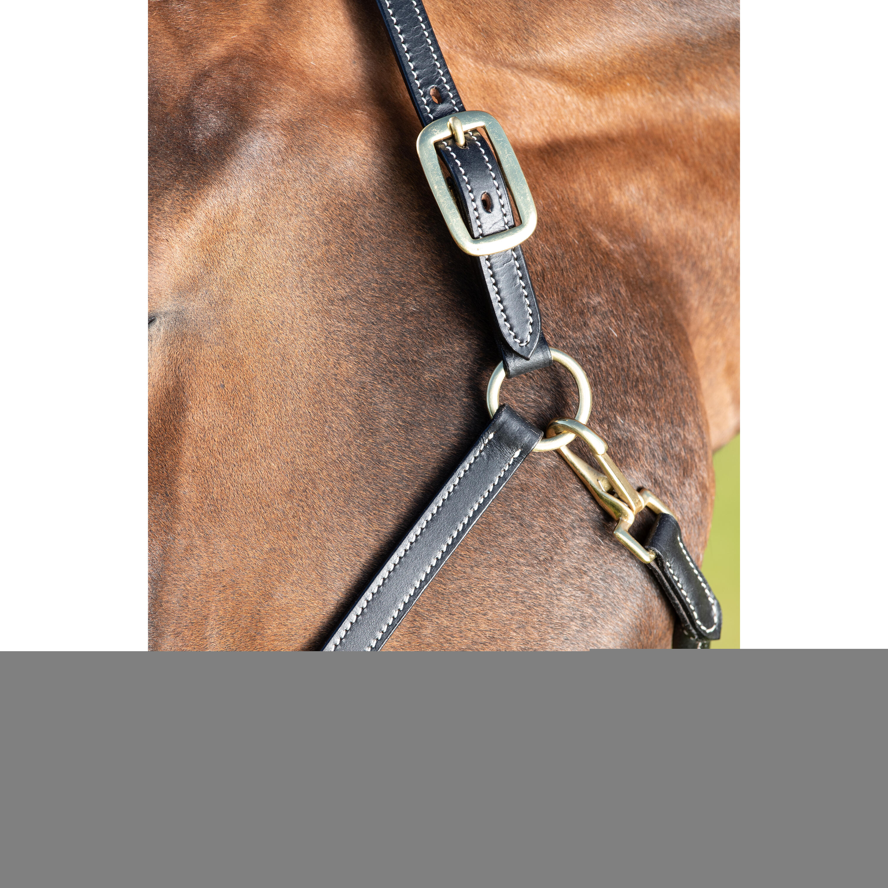 Cabezada de cuero para caballos HFI 2/2