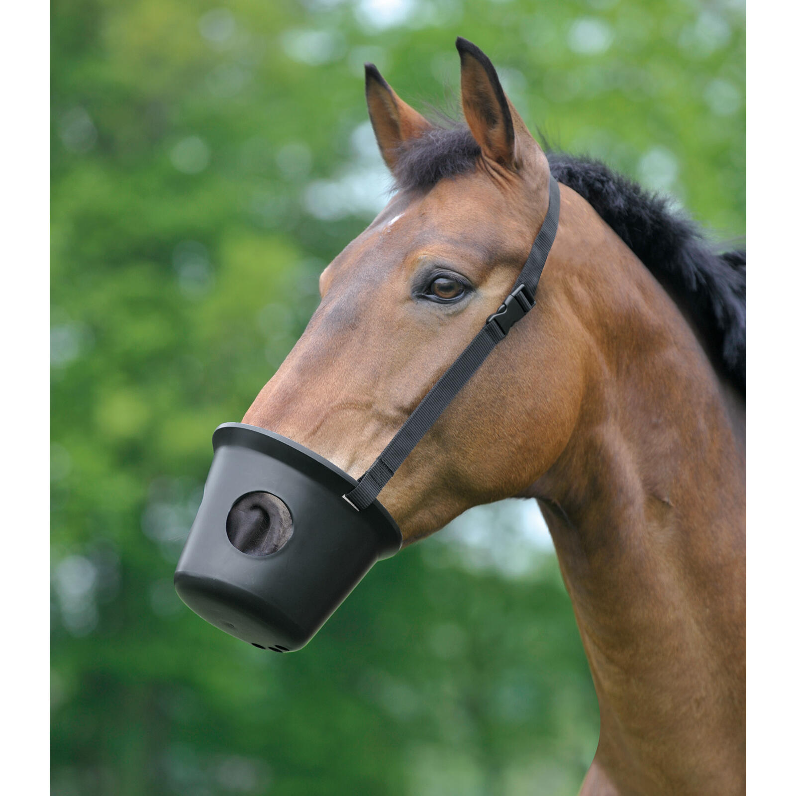 Waldhausen - Muselière Pour Poney Anti-colique Waldhausen - Licol - Noir - Taille Unique - Decathlon