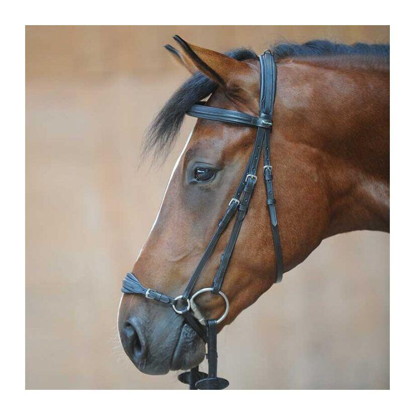 Riding bridles Kavalkade Levana