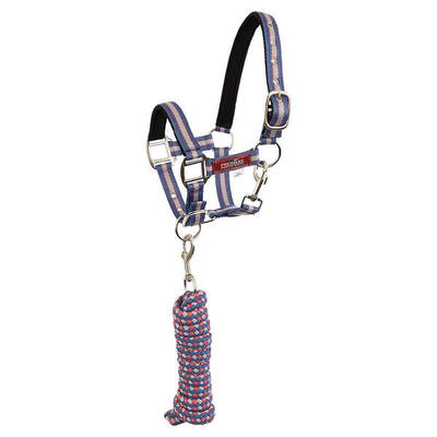 Set aus Halfter und Führstrick mit Karabinerhaken Premiere