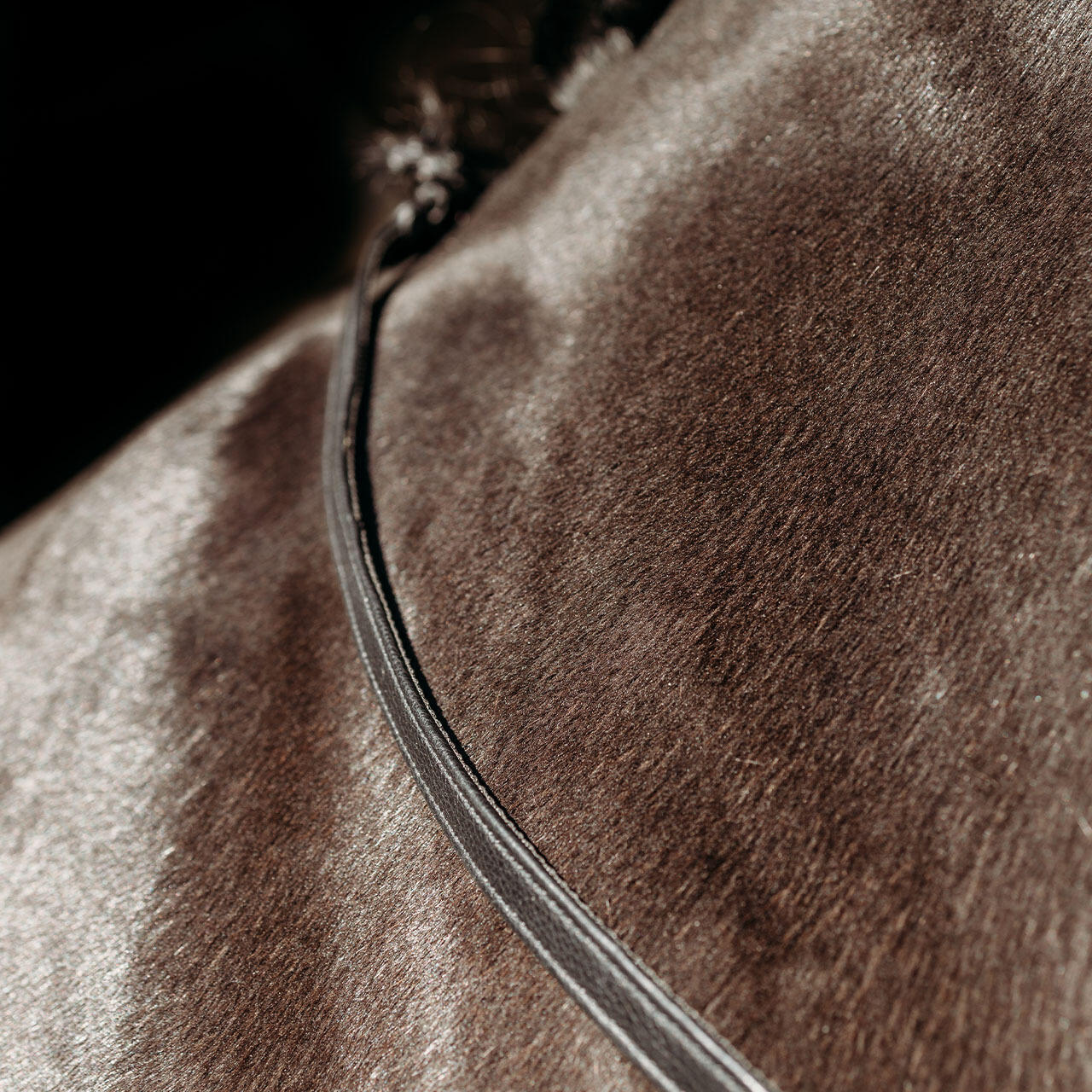 Redini per cavalli con clip Presteq FaySport 2/3