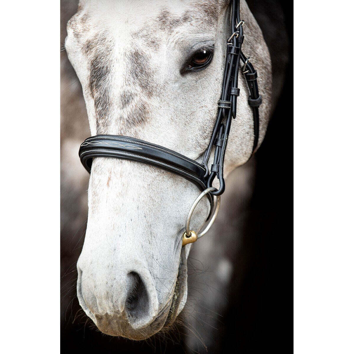 Veganistisch leren hoofdstellen Montar Hunter ECO 3/4