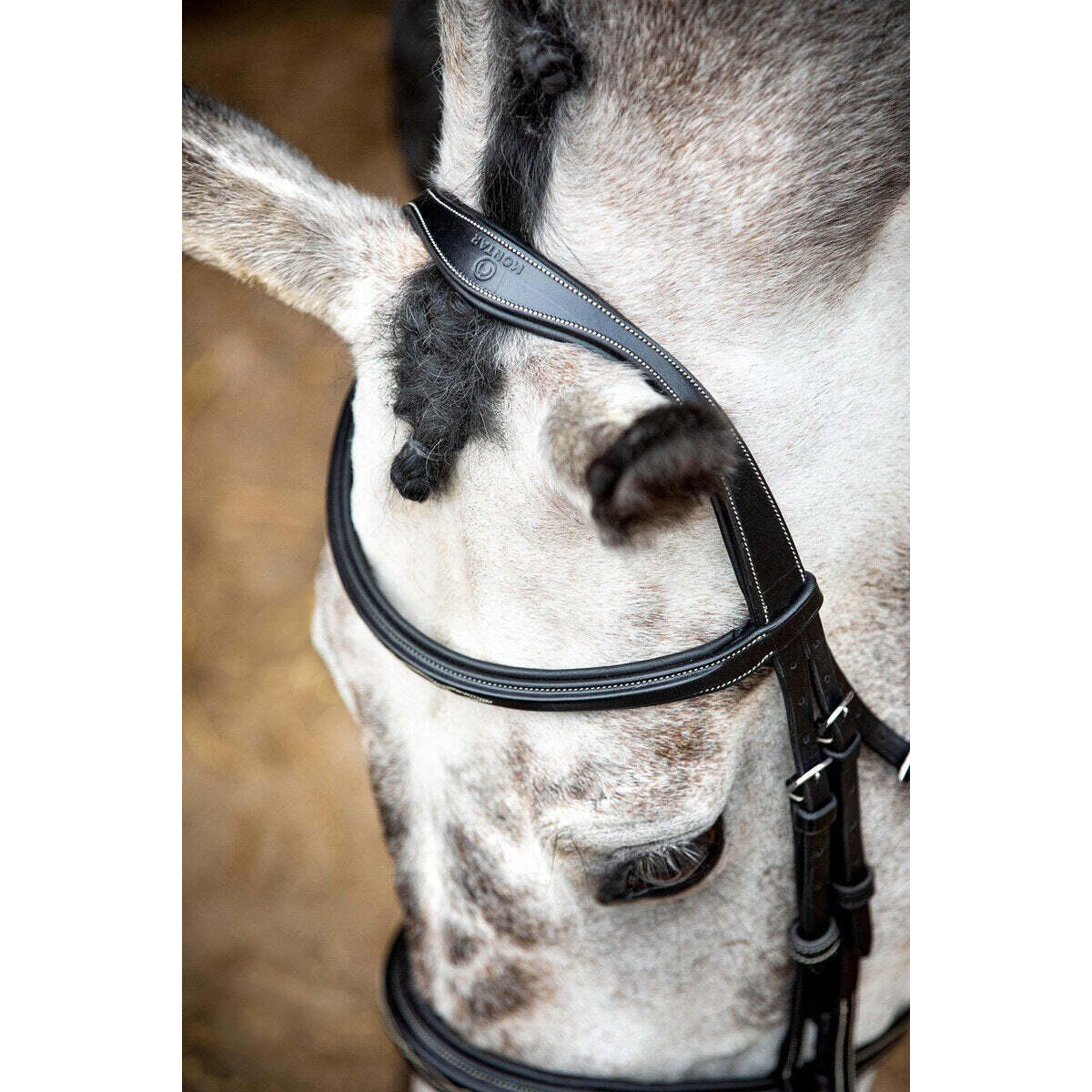 Veganistisch leren hoofdstellen Montar Hunter ECO 4/4