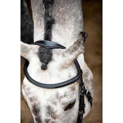 Briglie da equitazione in pelle vegana Montar Hunter ECO