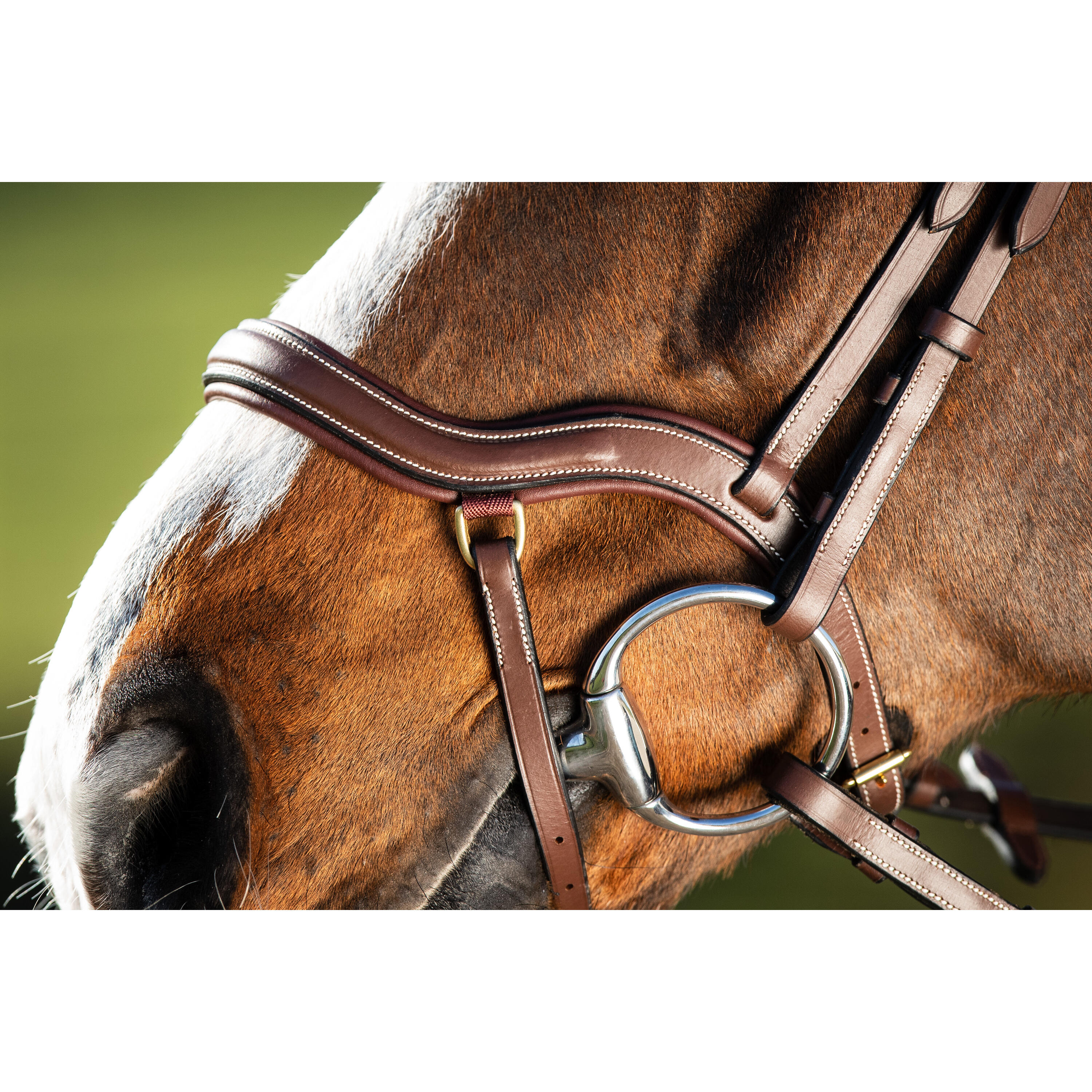 Bridas de equitación HFI Techno 6/7