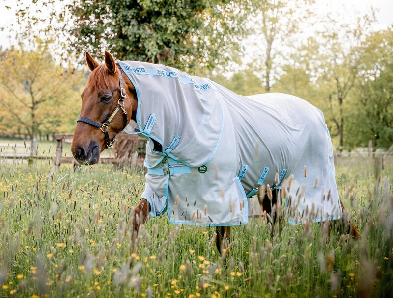 HORSEWARE IRELAND picture