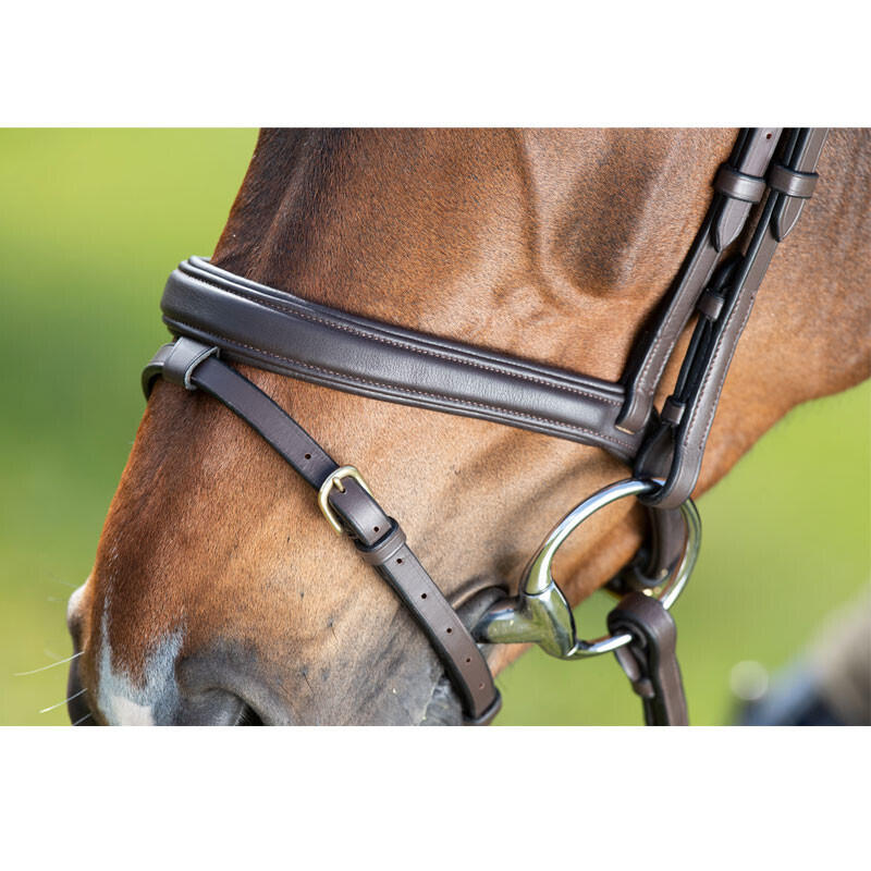 Bridas de equitación HFI Soft 3/5