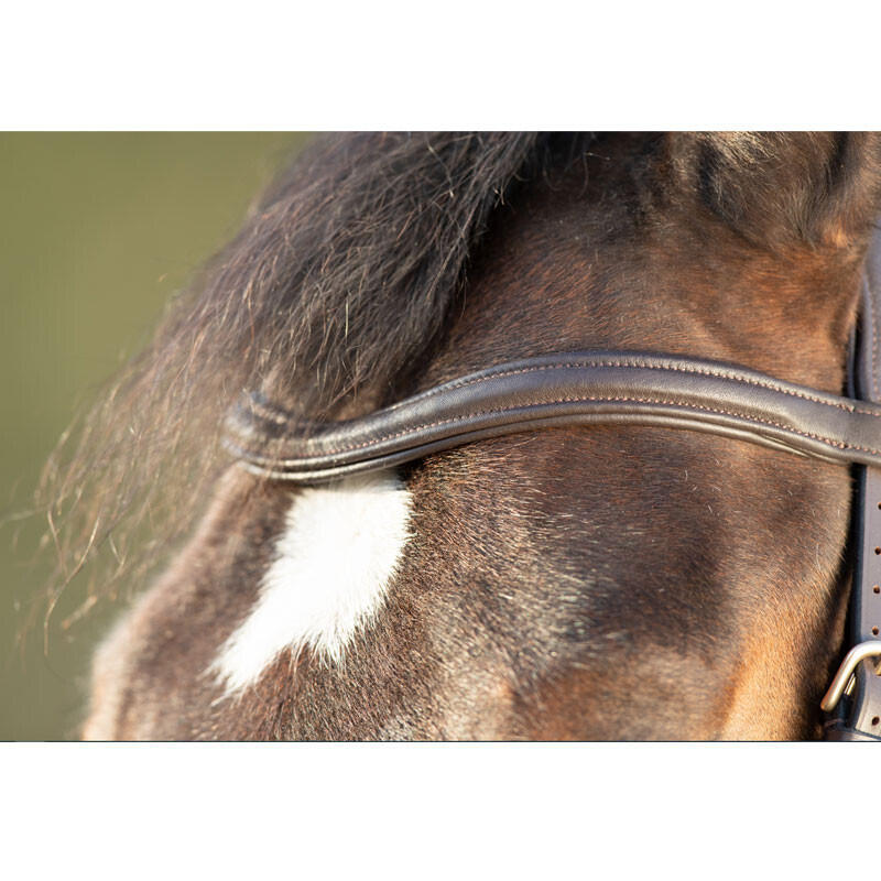 Bridas de equitación HFI Soft 2/5
