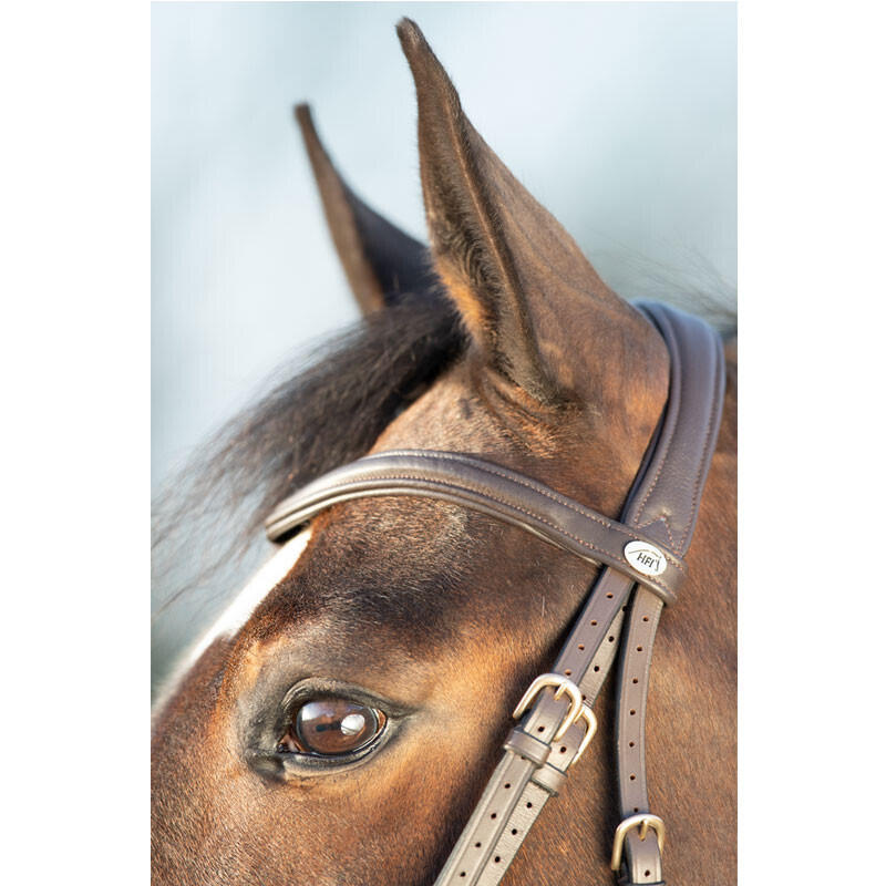Bridas de equitación HFI Soft 5/5