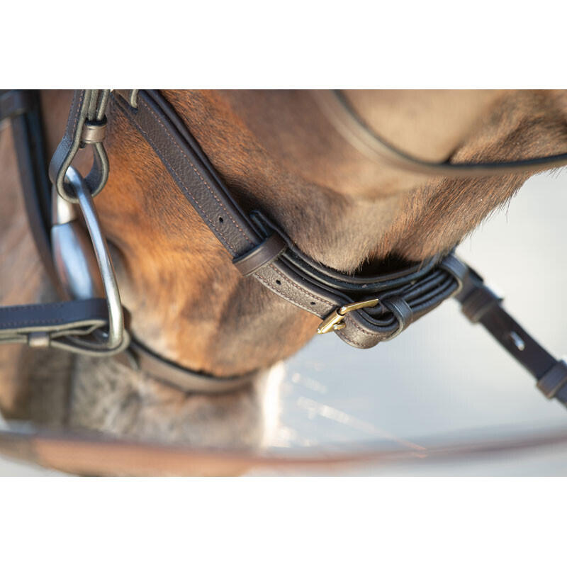 Bridas de equitación HFI Soft 4/5