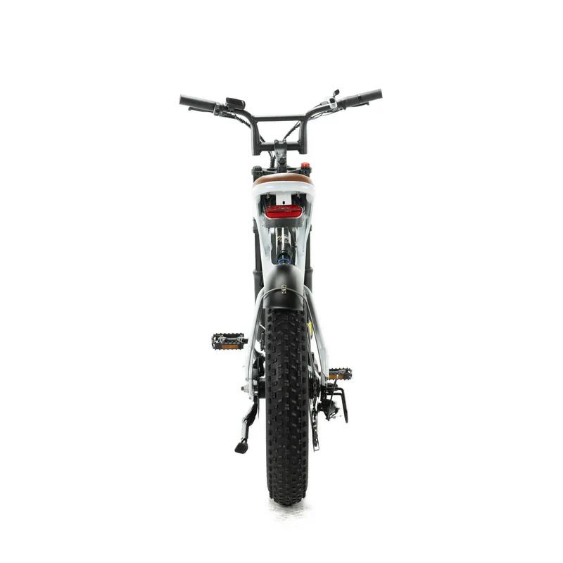 Engwe M20 E-bike 250Watt motor power, top speed 25 km/h, 20-inch tires 4/7