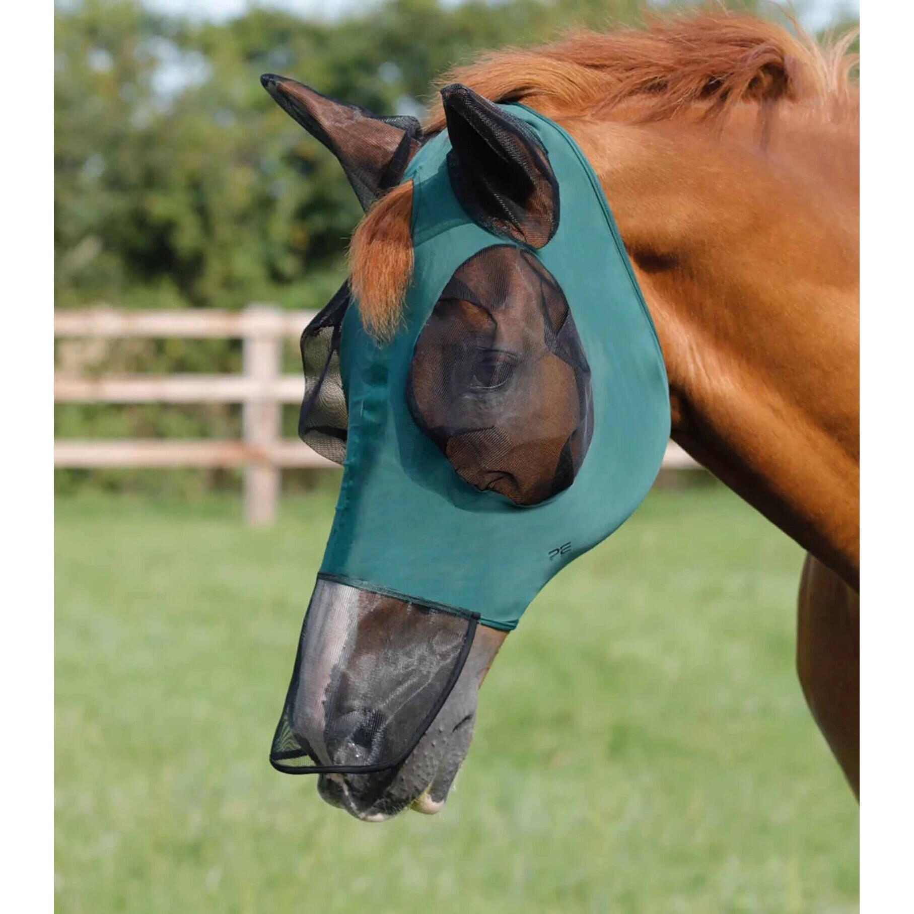 PREMIER EQUINE picture