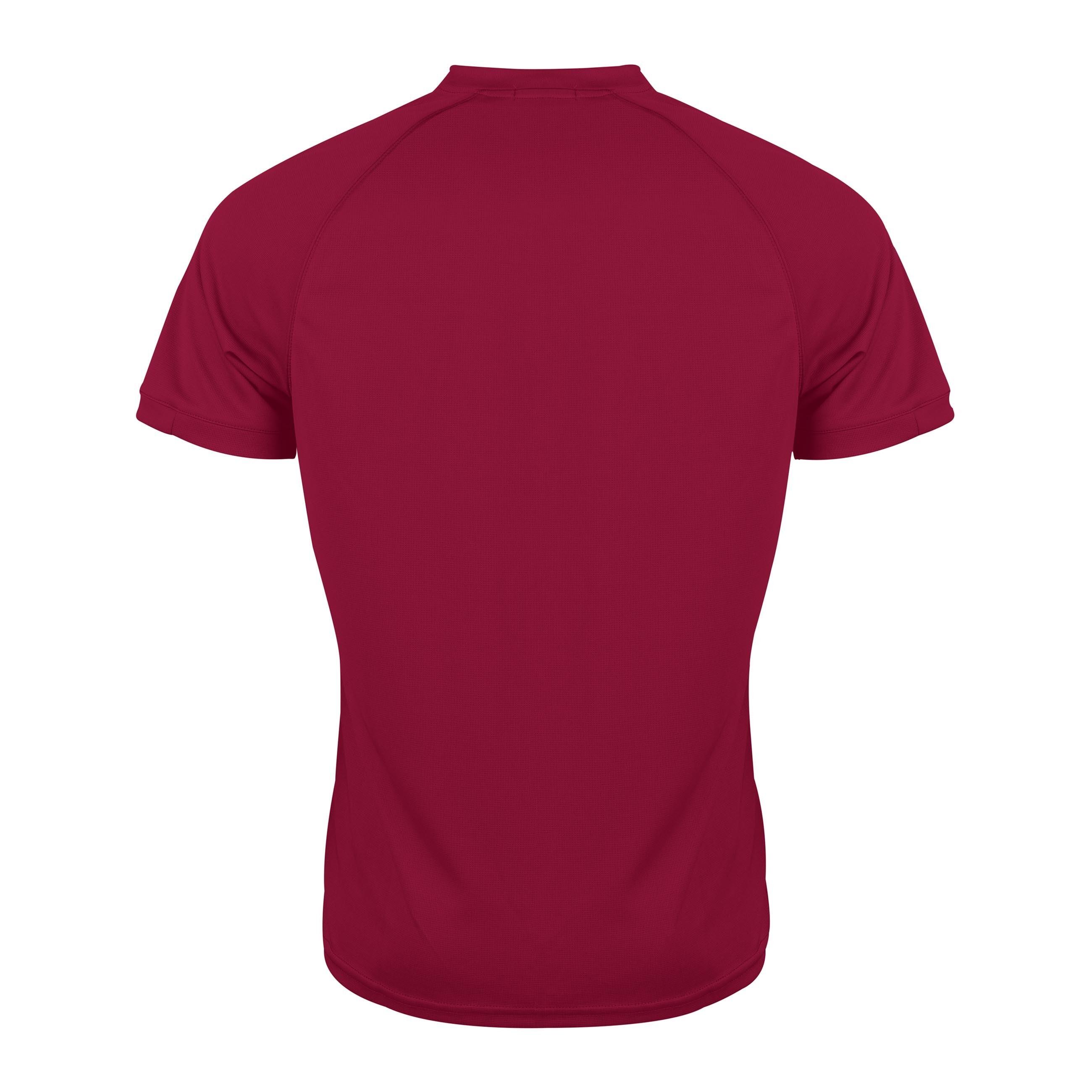 Maglia Gray-Nicolls Matrix V2 2/2