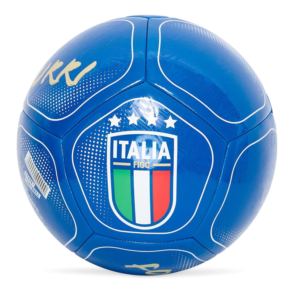 FIGC picture