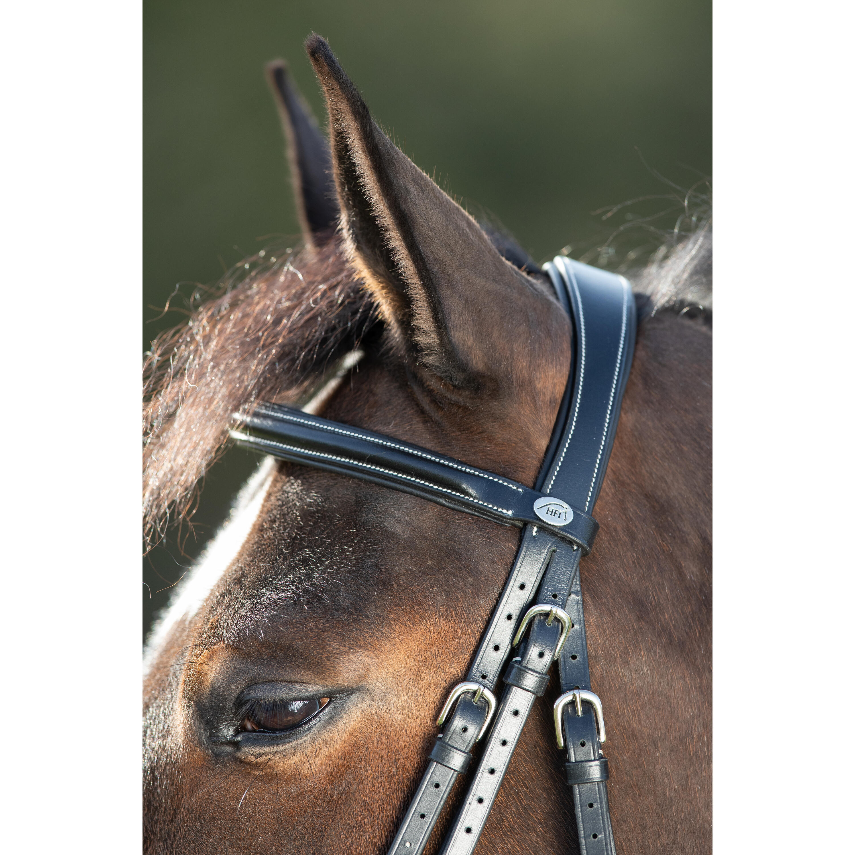 Zaumzeug Reiten HFI Anatomic 3/5