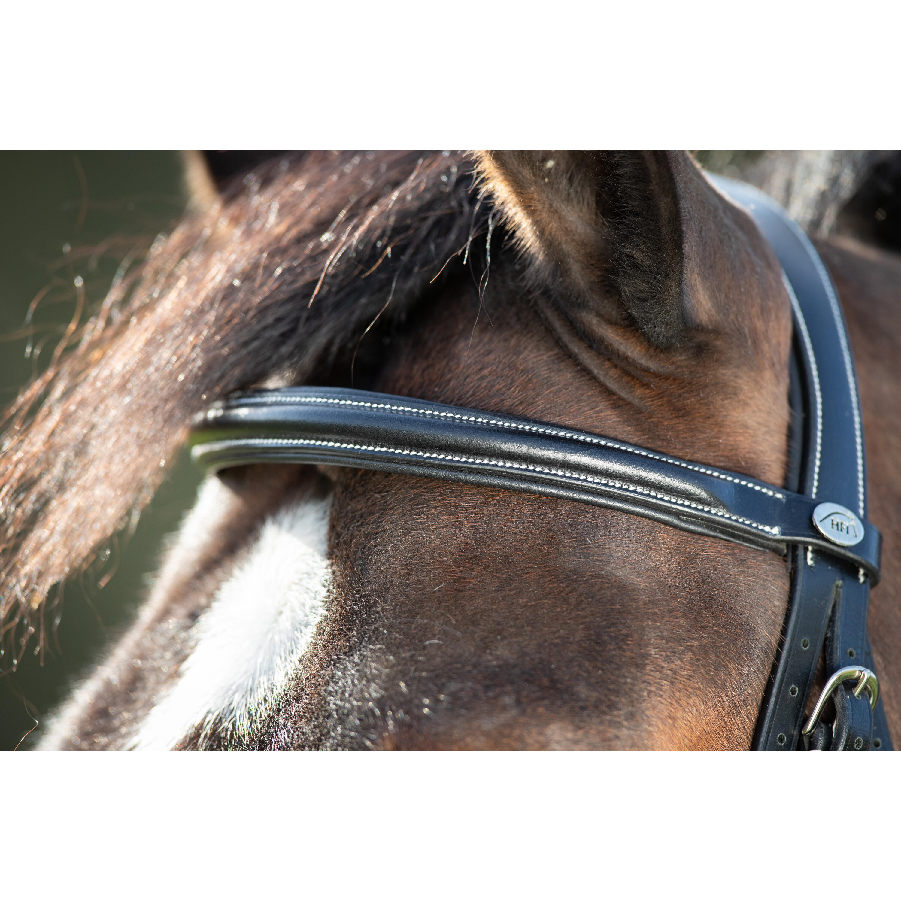 Zaumzeug Reiten HFI Anatomic 2/5