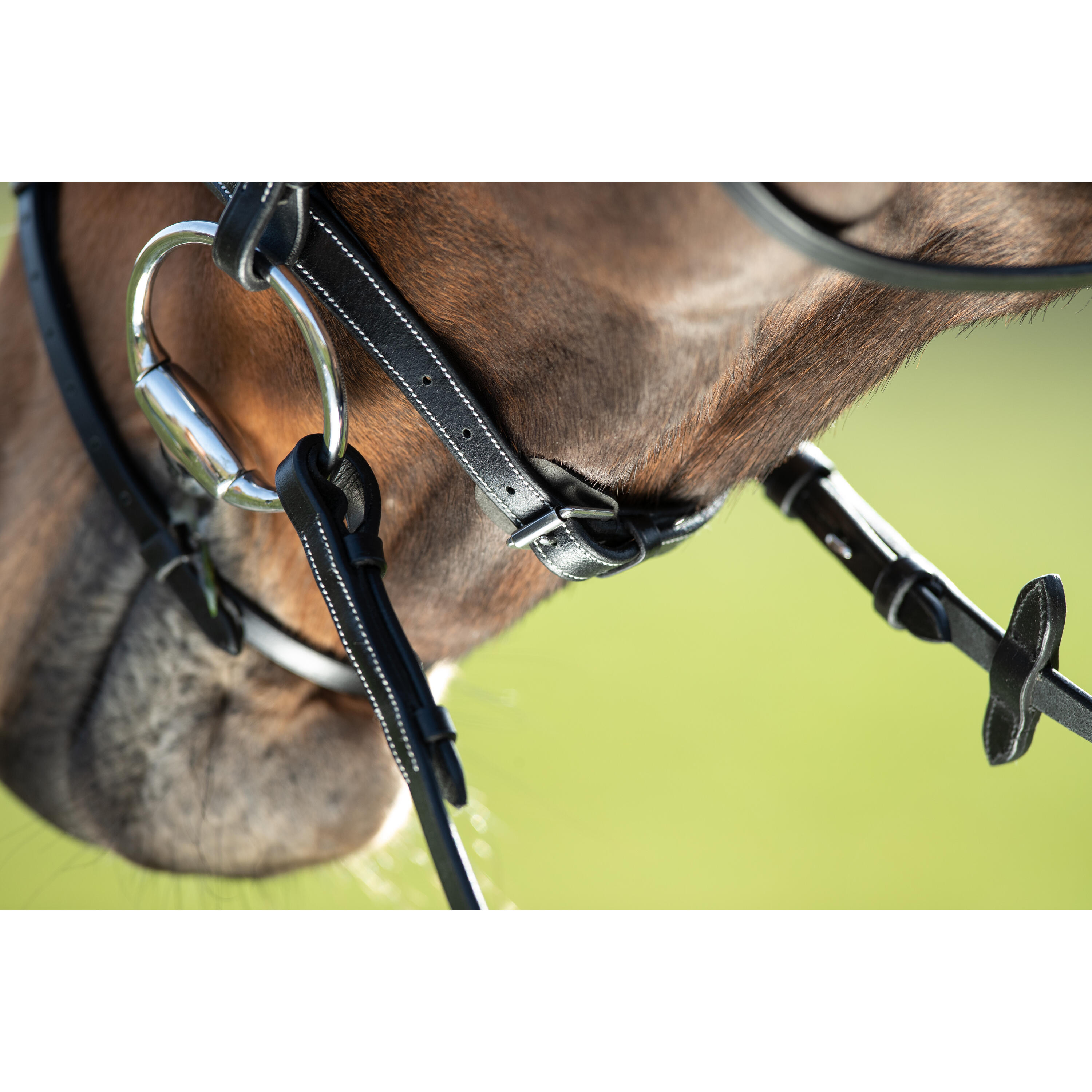 Zaumzeug Reiten HFI Anatomic 5/5