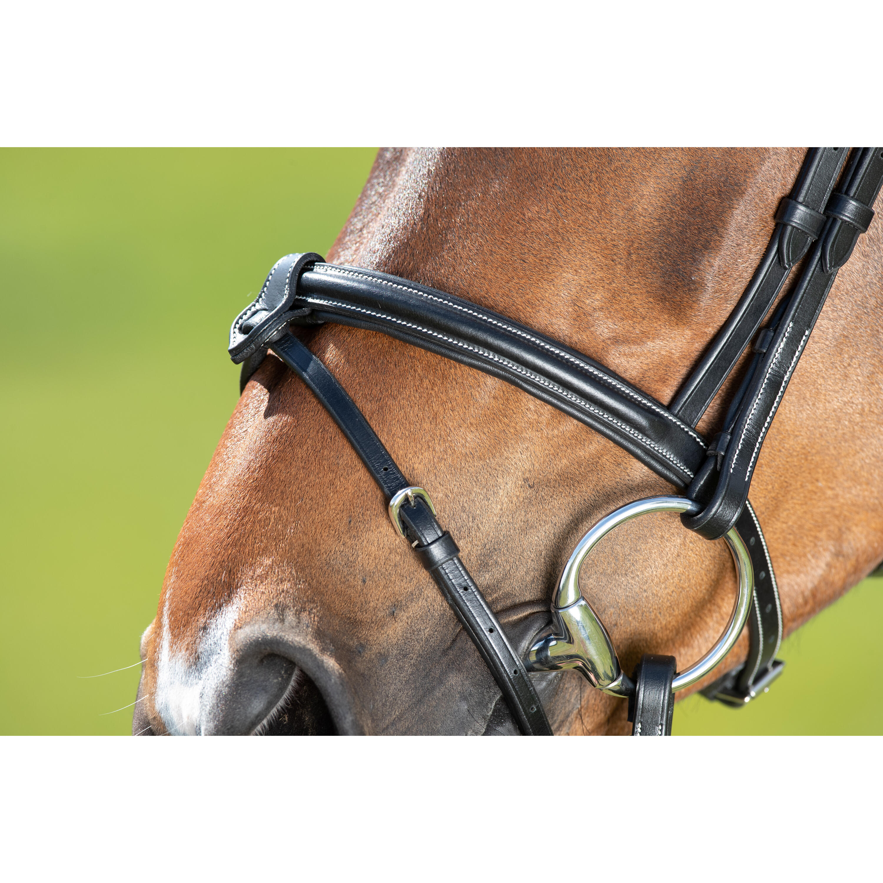 Zaumzeug Reiten HFI Anatomic 4/5