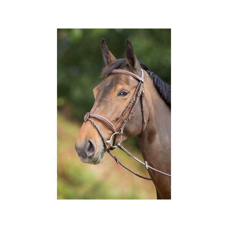 Riding bridles HFI Anatomic