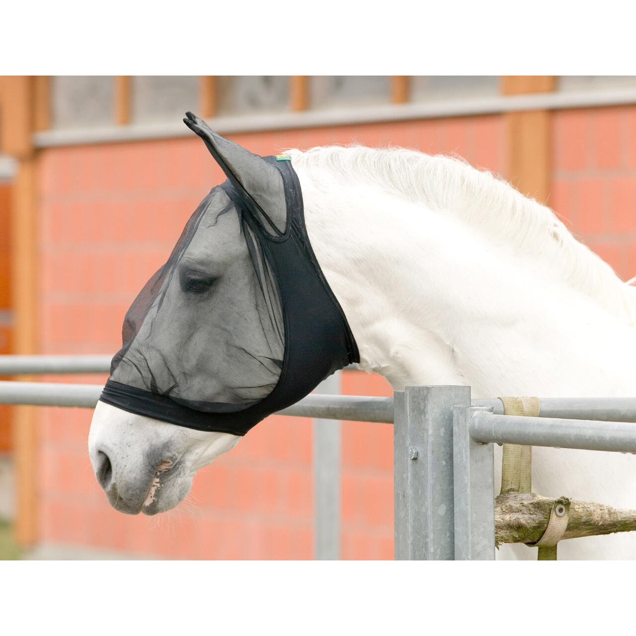 Usg - Masque Anti-mouches Avec Protège-oreilles Pour Cheval Usg - Masque Anti Mouche - Noir - Xfs - Decathlon