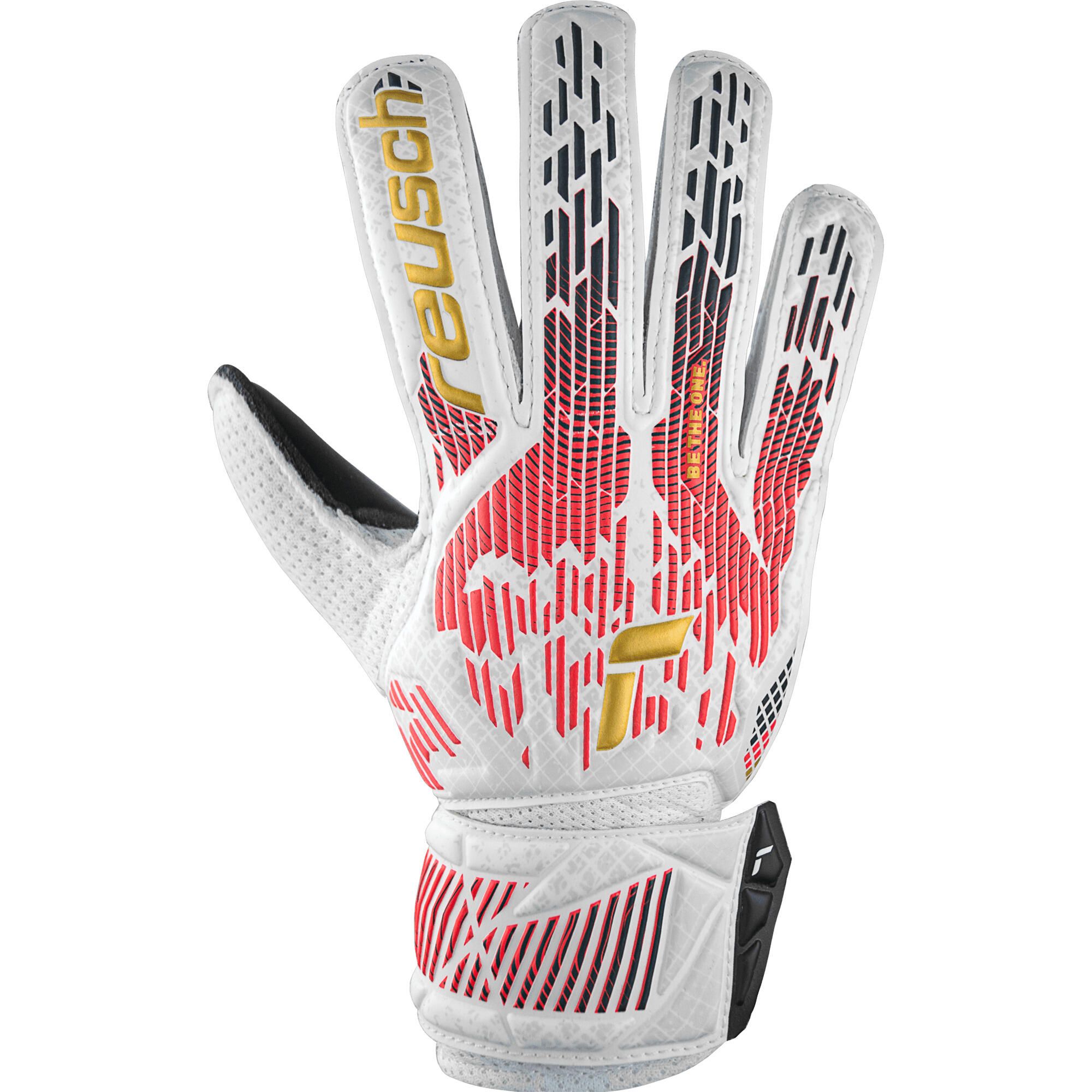 Gants de gardien Reusch Attrakt Solid 2/4