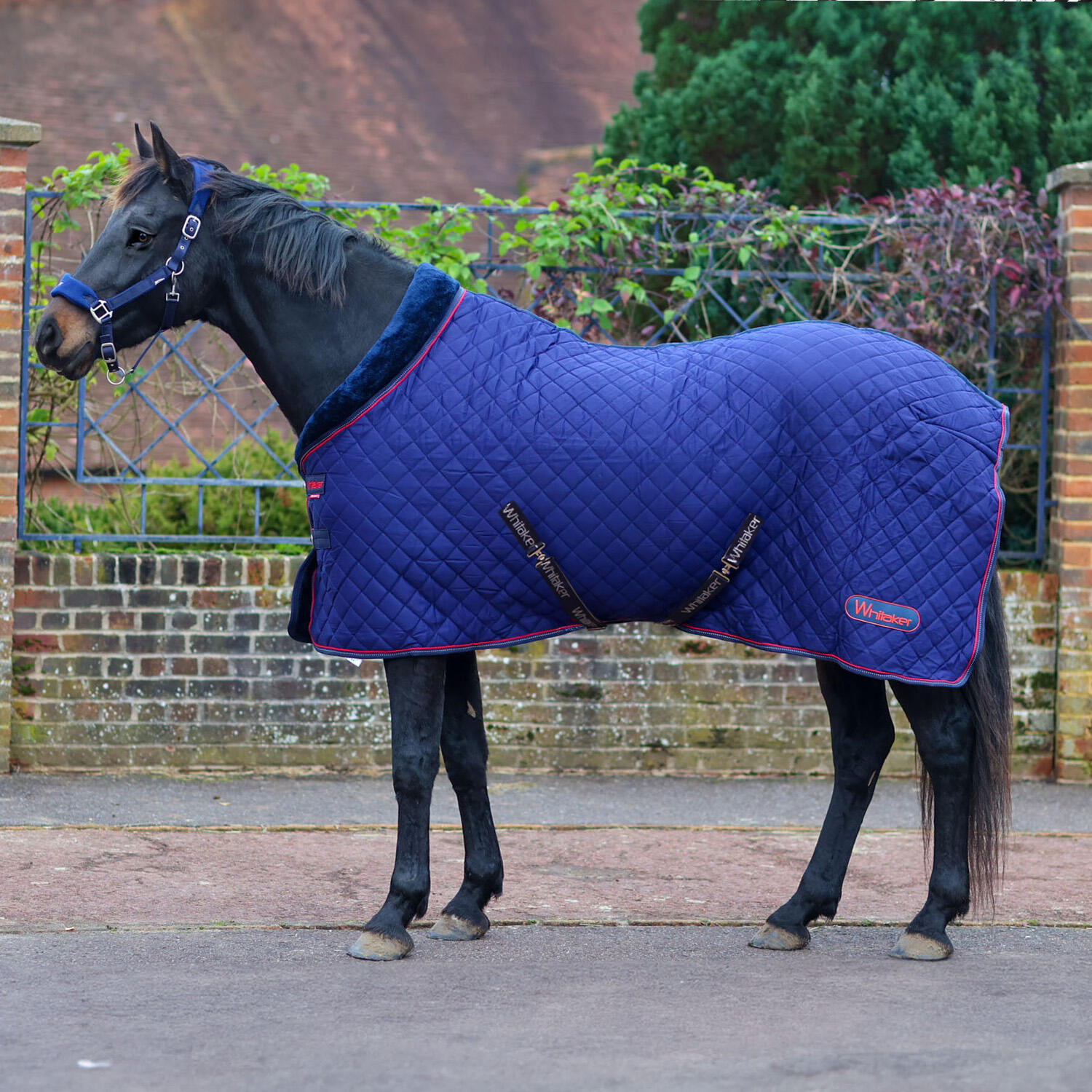 Coperta In Pile Riflettente Whitaker Rastrick Per Cavallo, Navy/rosso, Misura Regolabile 4'9-7'0, UK