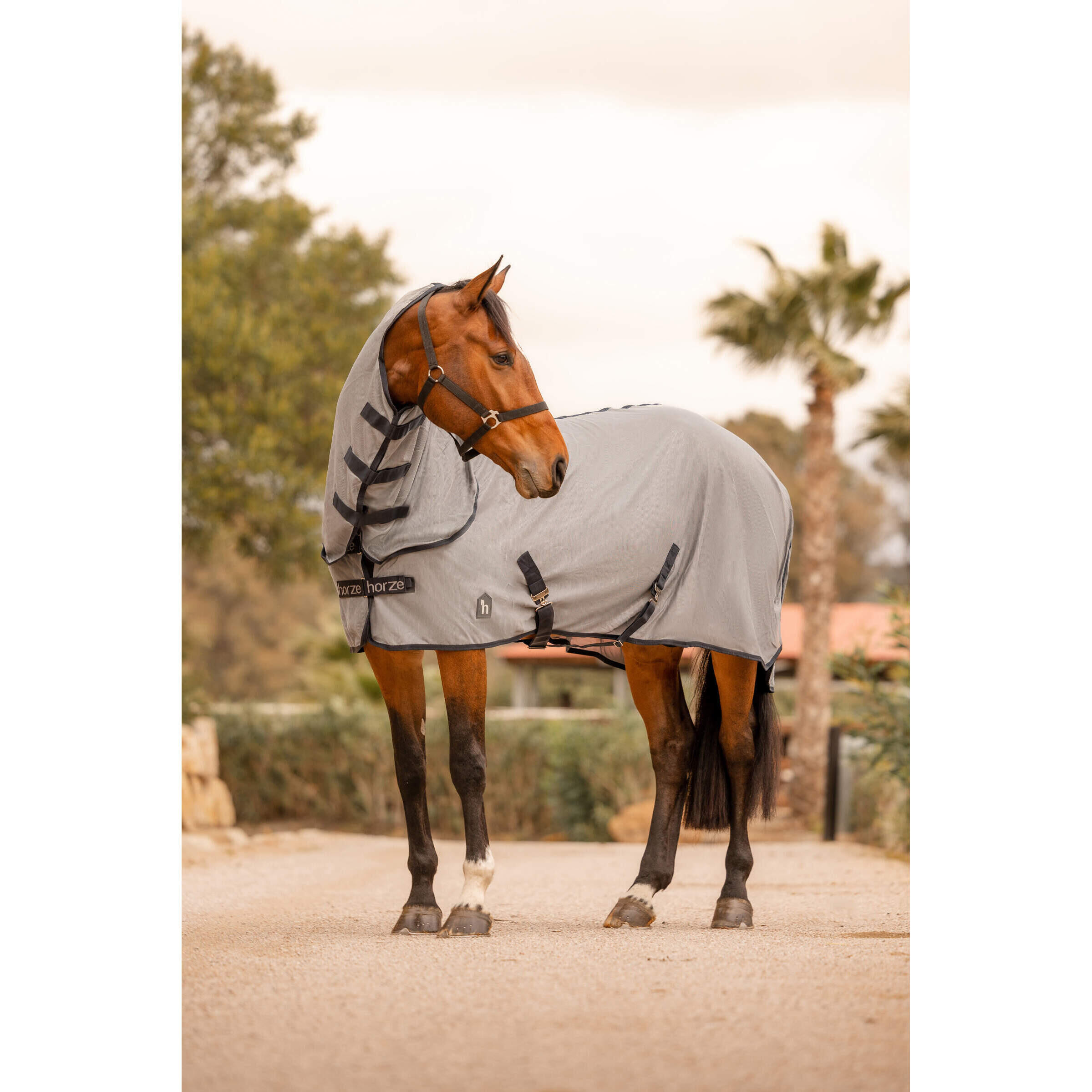 Couverture d'extérieur pour cheval avec col amovible et protection UV Horze Paso 2/4