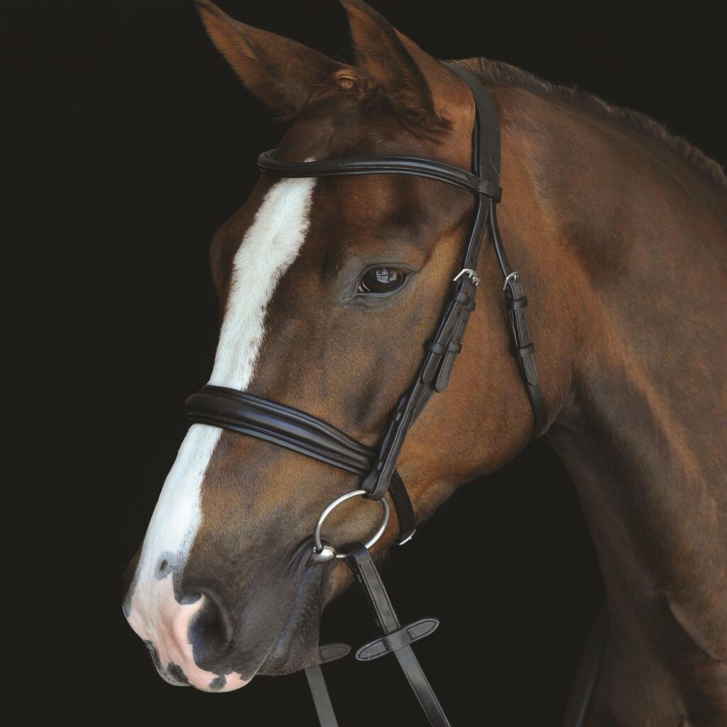 Bridles Weatherbeeta Collegiate Mono Crown