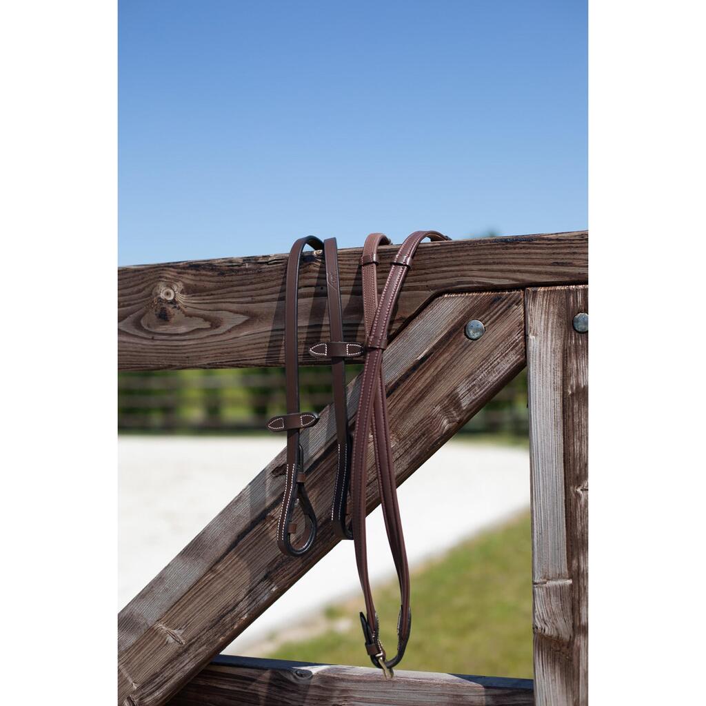 Hunter reins for horses HFI