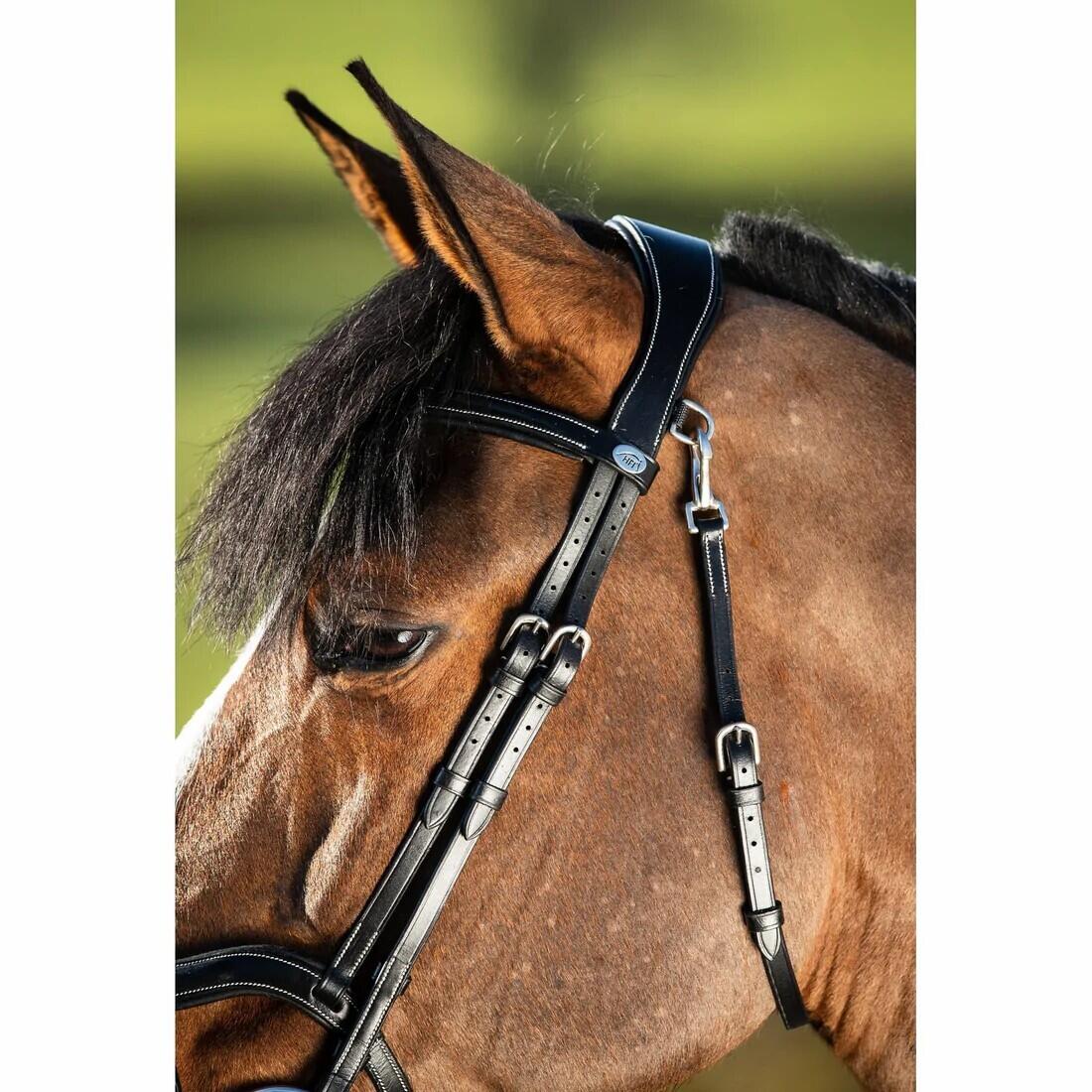 Bridas de equitación HFI Techno 5/7