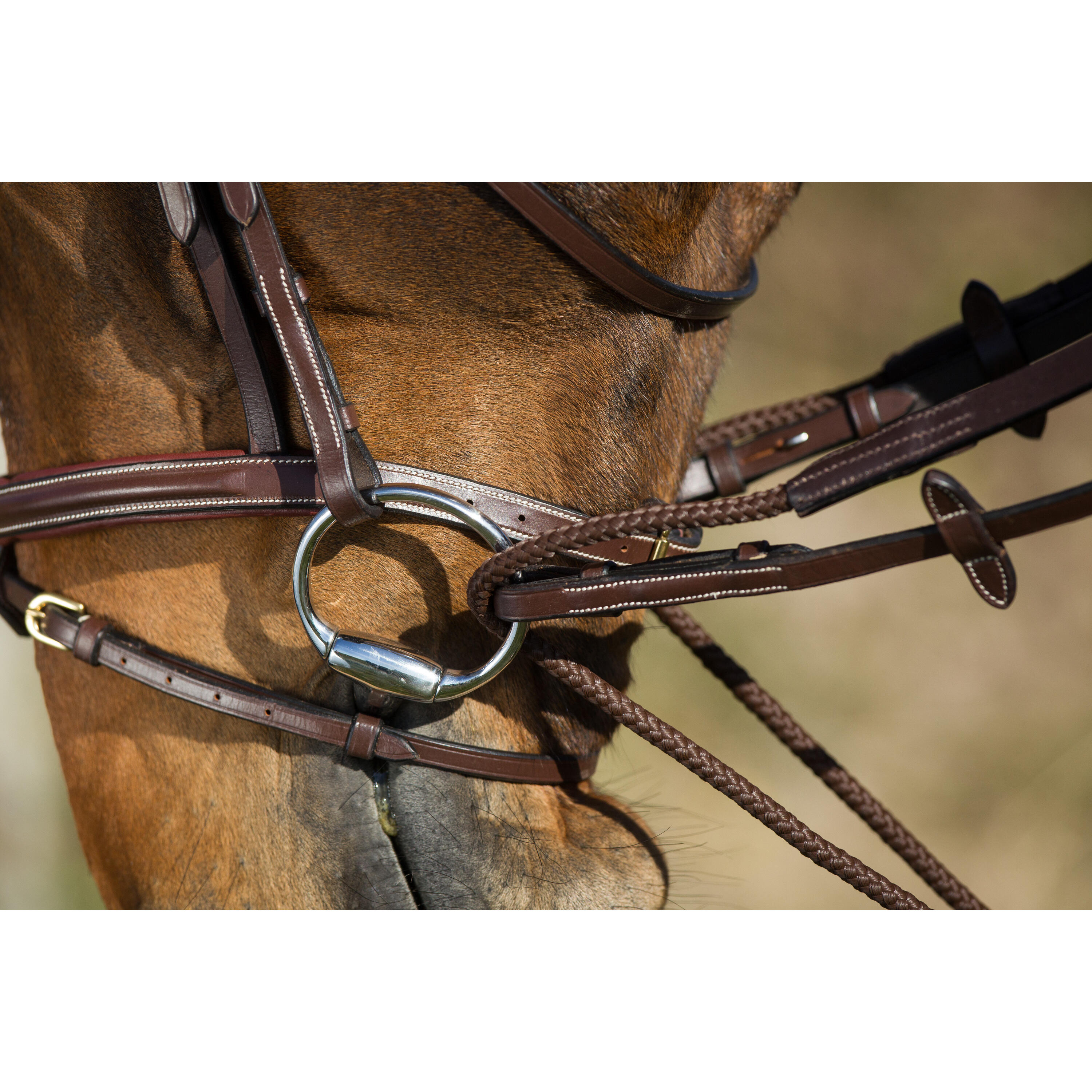 Rênes pour cheval équitation allemandes en cuir + corde HFI 2/3