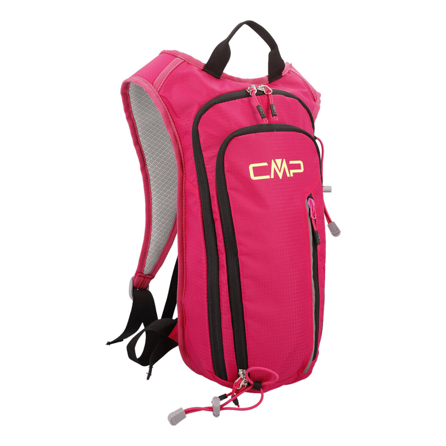 CMP picture