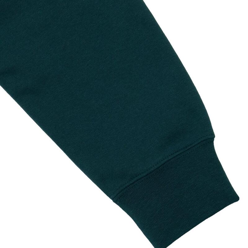 Hanorac barbati Puma Class Graphic Hoodie, Verde